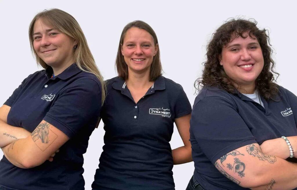 team-creation-dynameet